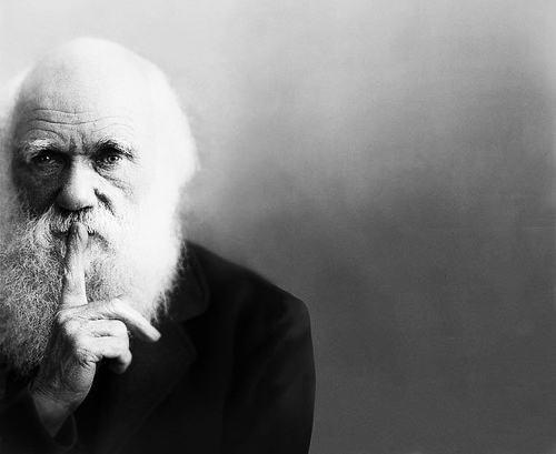 [ENC004] El hombre adelanta a Darwin